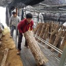 더불어 농장 이미지