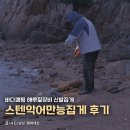 만능 | 바다캠핑 해루질장비 신발집게, 스텐악어만능집게 후기