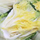 해돋이농장 이미지