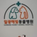 일광해빛동물병원 이미지