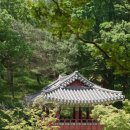 동학혁명 유적지 이미지