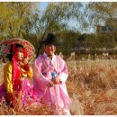 황새울공원 이미지