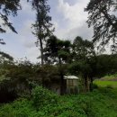 용설호수길 이미지