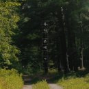 뷰티라이프PC 이미지