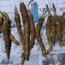 정선농장 이미지