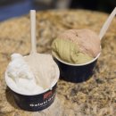 젤라띠젤라띠롯데동탄점 | 동탄역 젤라또 맛집 추천 젤라띠젤라띠🍦