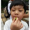 아름드리어린이집 이미지