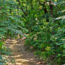 고양누리길 2코스 한북누리길 이미지