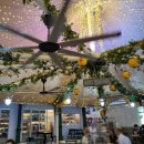 세븐일레븐 고대신의학관점 | 사테는 역시 여기에요 라우파삿 사테거리 그 유명한 8번 가게 후기 사테거리 팁