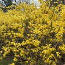 원유주유소 | [재테크] 전쟁 끝나면 기름값 폭락? 원유 9% 수익 실현 후기 및 향후 투자 전략