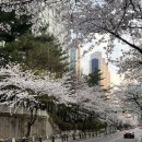 서포토 | 오..랜만에~ 느껴보는~ 이런 일상~글.