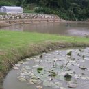 김복수농장 이미지