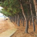 마당두들약수터 이미지