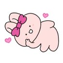 스테이 모인 이미지