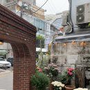툴레아르Tulear