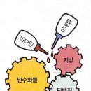 인천원탑 짐 이미지