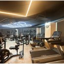 머슬뷰티 이미지