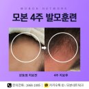 도척경희한의원 네이버블로그