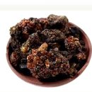 최승정베네딕토 신부님 • 하느님 성조들을 부르시다(2025년 6월12일) 이미지