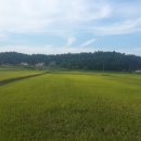 구정보건지소 이미지