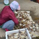 성광통상 | [소청도여행] 등대가 있는 섬