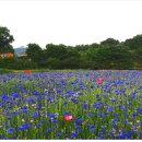 환벽당길 이미지