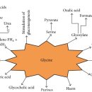 Re:중추신경 안정 아미노산 - 글라이신의 탐구 이미지