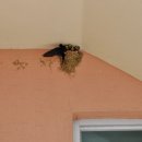 읍천항 화장실 이미지