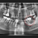 뿌리연합치과의원 이미지