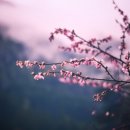 우진ENG 네이버블로그