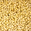 장일농장 이미지