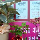 금탑공인중개사사무소 이미지