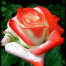 2023년 한국 축구 대표팀 주요 일정은? 이미지