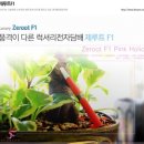 페로젠