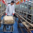 손의개농장 이미지