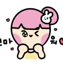 못말리는 고양이 이미지