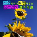 11/2(일) ★ 남한산성 페스티벌 ★ 축제의 마당에 초대합니다. 이미지