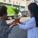 순창군 치매안심센터 이미지