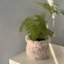 꽃바람화원