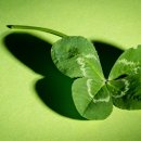 운이좋아 이미지