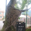 안기마을회관 이미지