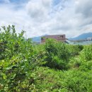 율리농장 이미지