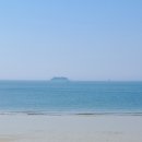 바다 어울림 이미지