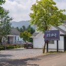 오늘하루 애견 동반 스파펜션 이미지