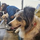 청우 동물병원 이미지