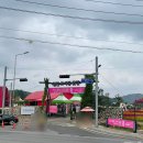 선장쌀상회 | [240615~16] 철원 DMZ 피스트레인 뮤직 페스티벌 2024 2일권 후기