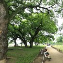 이석구농장 | 유교와 불교, 가야문화 어우러진 역사박물관, 경상북도 성주