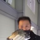 뚜루실내바다낚시터 화성점