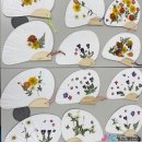 함현상생종합복지관(상생복지회함현상생은빛사랑채) | [모여봐요봉사의숲] 함현상생종합사회복지관 압화부채 후원