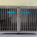 드린겐 애견테마파크 이미지